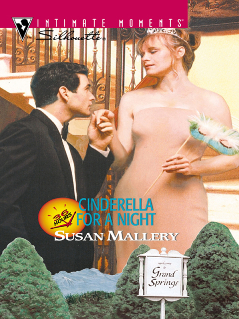 Cover image for book Cinderella for a Night