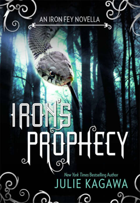 Cover image for book Iron's Prophecy