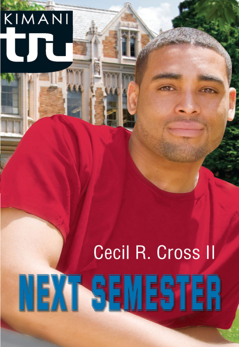 Cover image for book Next Semester
