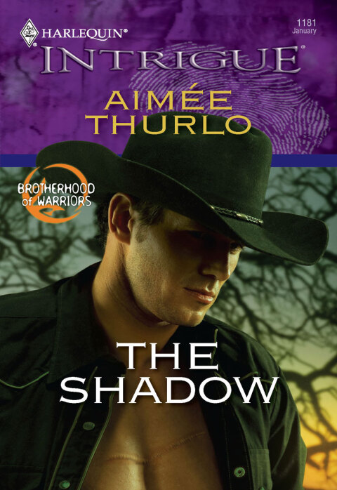 Cover image for book The Shadow