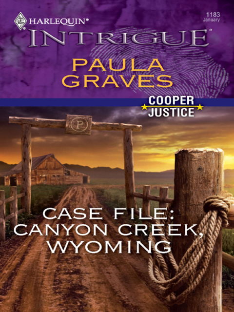 Cover image for book Case File: Canyon Creek, Wyoming