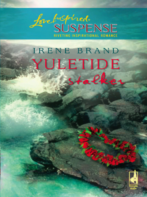 Cover image for book Yuletide Stalker