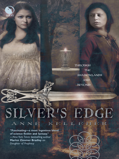 Cover image for book Silver's Edge