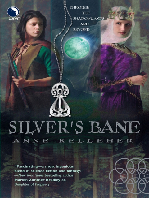 Cover image for book Silver's Bane