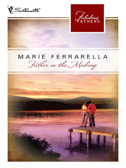 Cover image for book Father in the Making