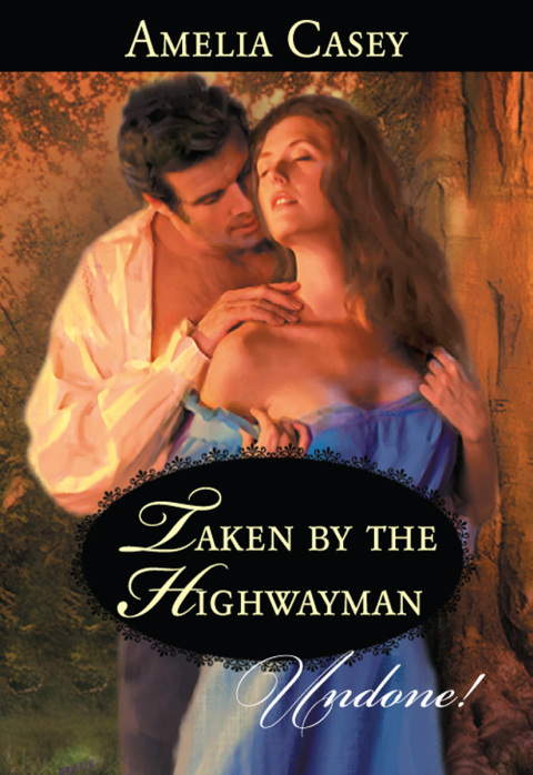 Cover image for book Taken by the Highwayman