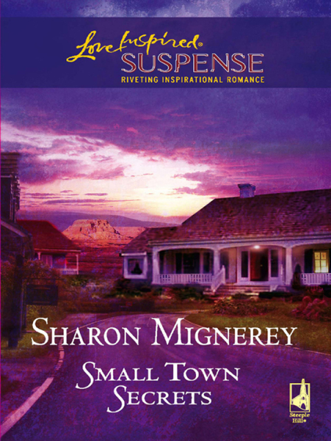 Cover image for book Small Town Secrets