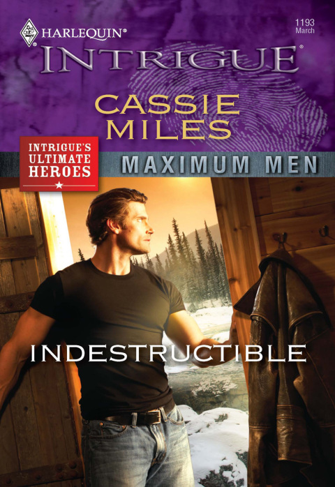 Cover image for book Indestructible