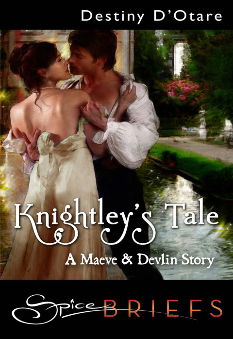 Cover image for book Knightley's Tale