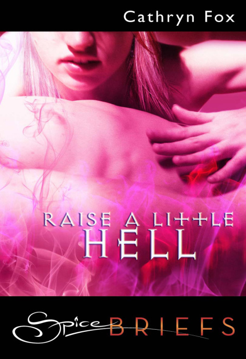 Cover image for book Raise a Little Hell