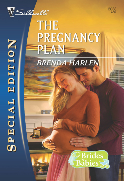 Cover image for book The Pregnancy Plan