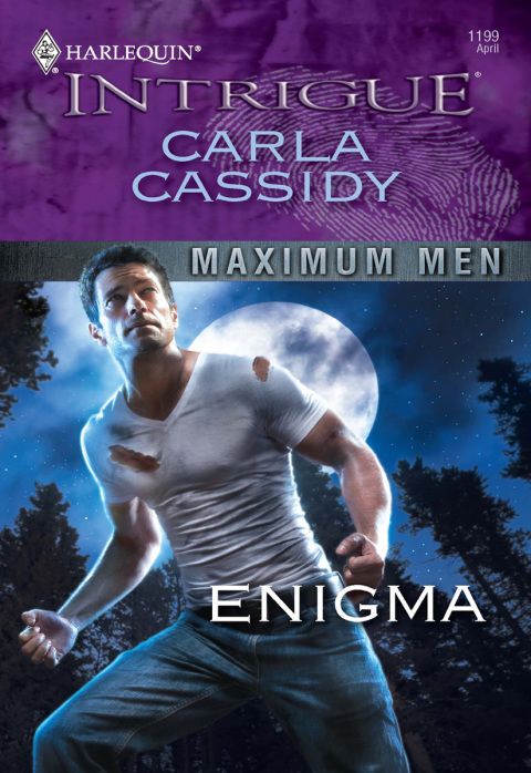 Cover image for book Enigma