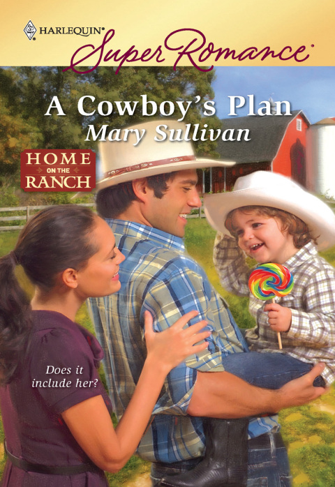 Cover image for book A Cowboy's Plan