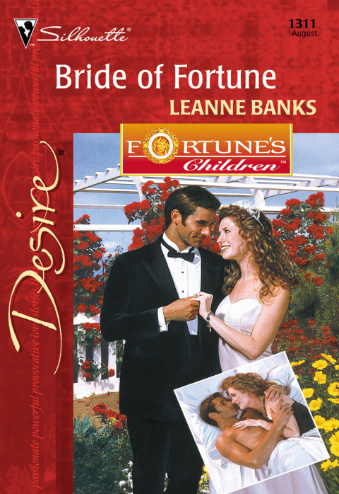 Cover image for book Bride of Fortune