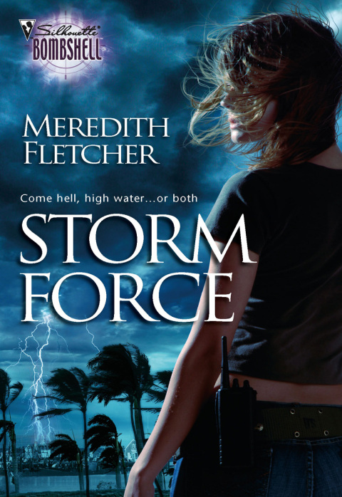 Cover image for book Storm Force