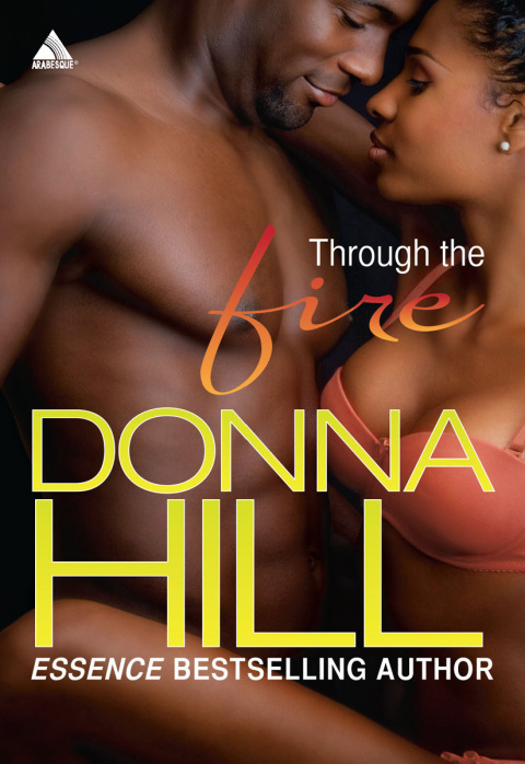 Cover image for book Through the Fire