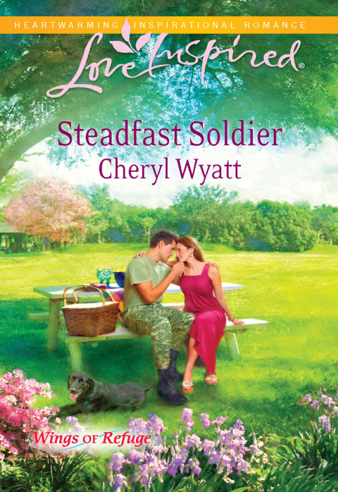Cover image for book Steadfast Soldier