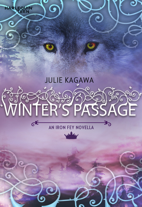 Cover image for book Winter's Passage