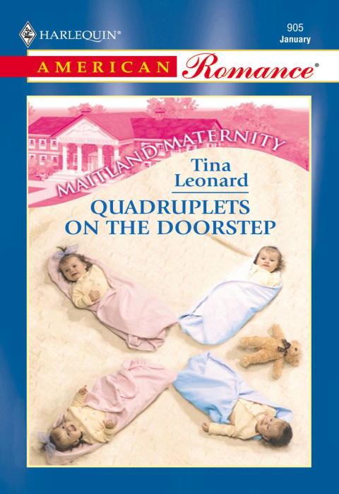 Cover image for book Quadruplets on the Doorstep