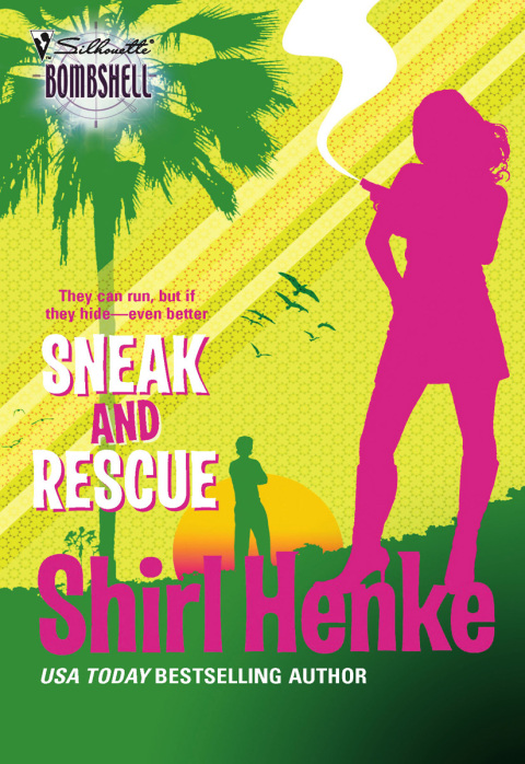 Cover image for book Sneak and Rescue