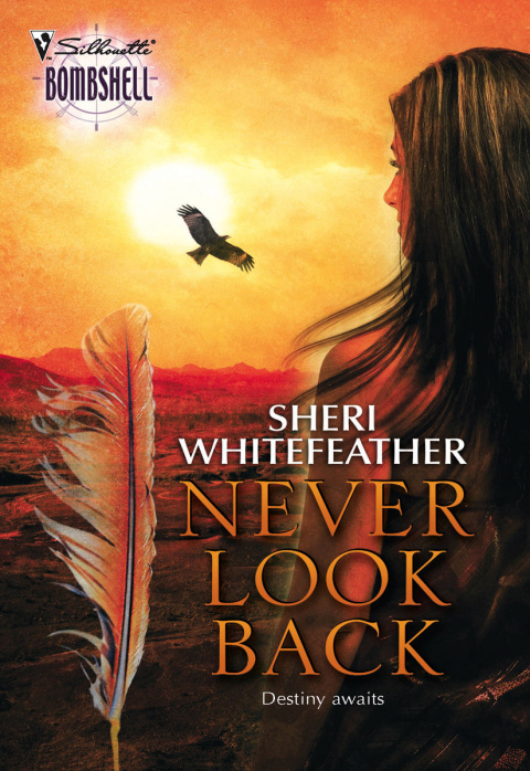 Cover image for book Never Look Back