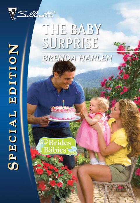 Cover image for book The Baby Surprise