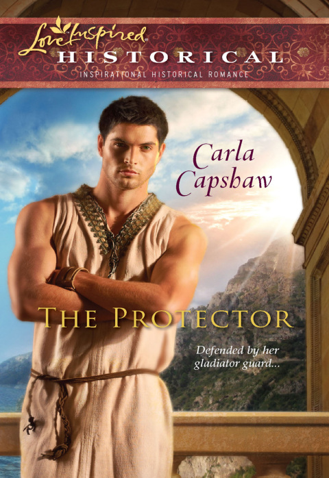 Cover image for book The Protector