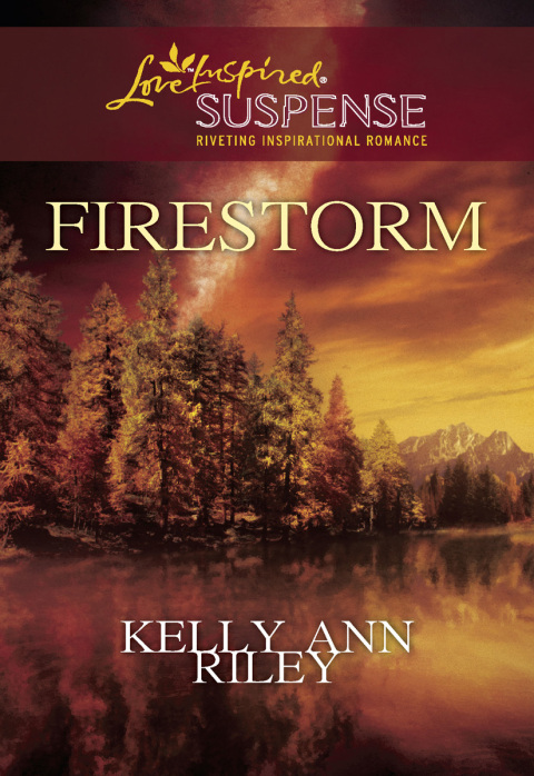 Cover image for book Firestorm
