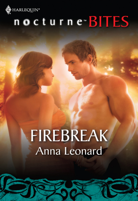 Cover image for book Firebreak