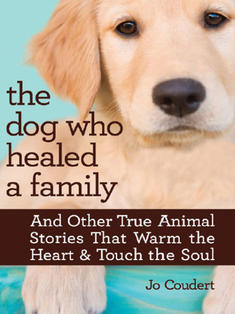 Cover image for book The Dog Who Healed a Family