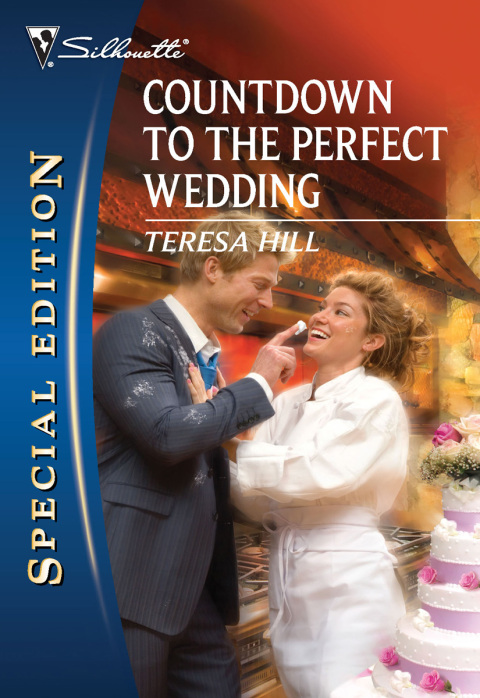 Cover image for book Countdown to the Perfect Wedding