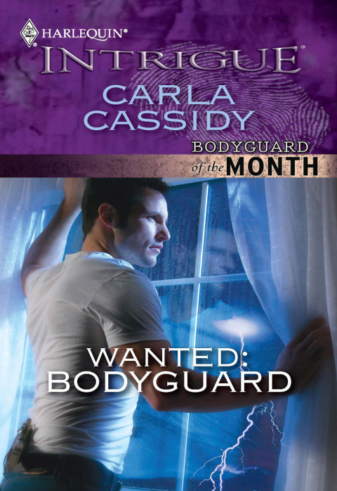 Cover image for book Wanted: Bodyguard