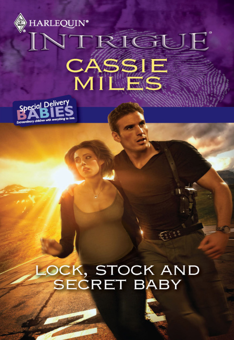 Cover image for book Lock, Stock and Secret Baby