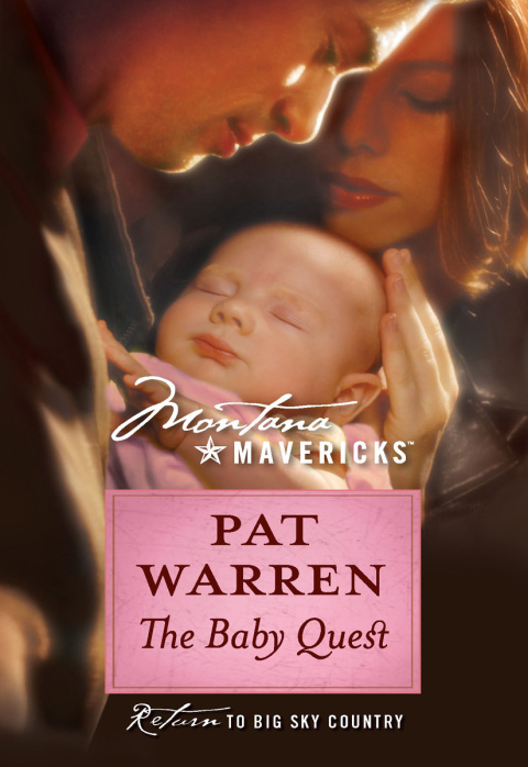 Cover image for book The Baby Quest