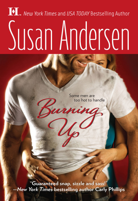 Cover image for book Burning Up