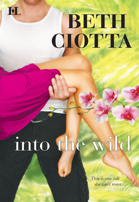 Cover image for book Into the Wild