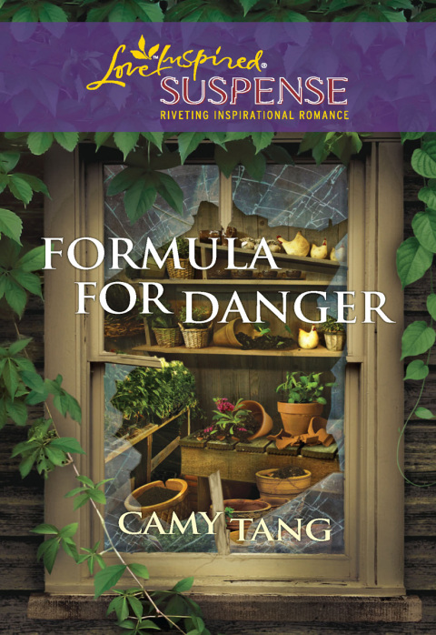 Cover image for book Formula for Danger