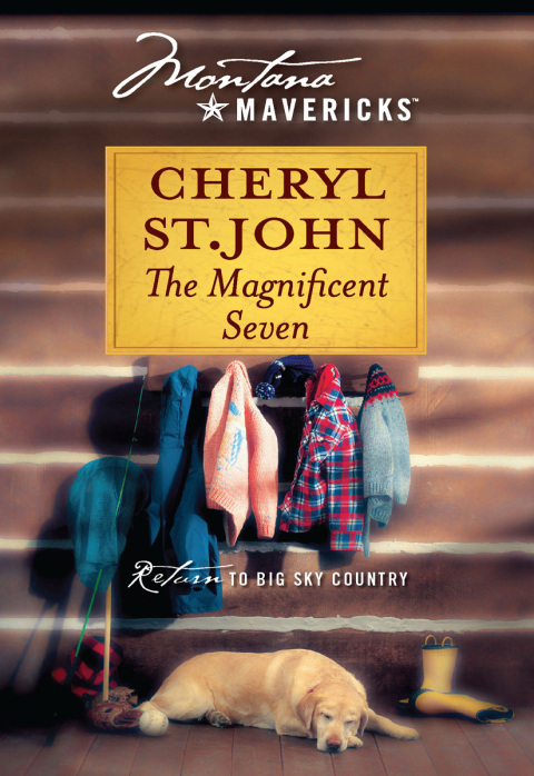 Cover image for book The Magnificent Seven