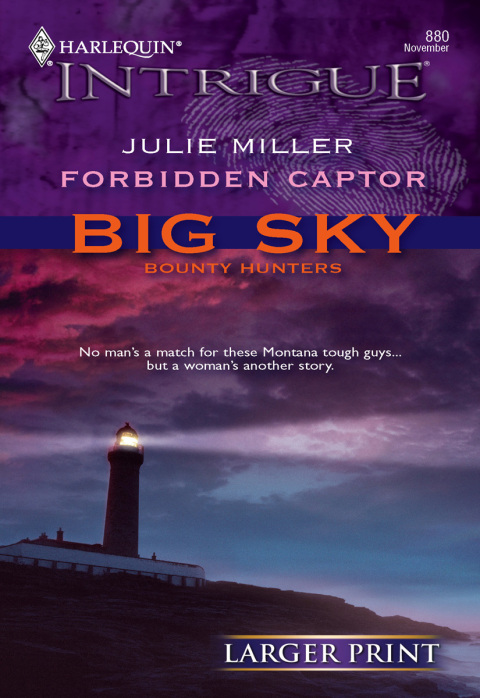 Cover image for book Forbidden Captor