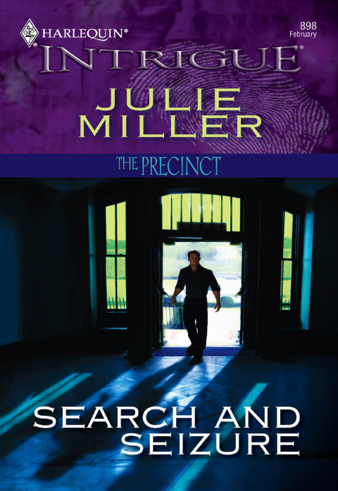 Cover image for book Search and Seizure