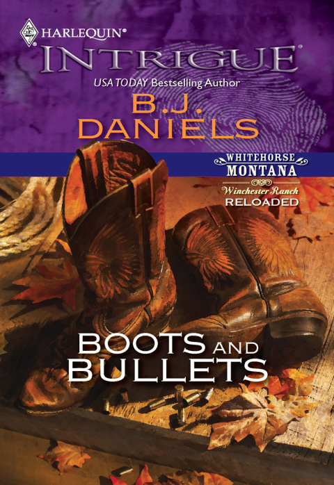 Cover image for book Boots and Bullets