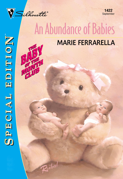 Cover image for book An Abundance of Babies