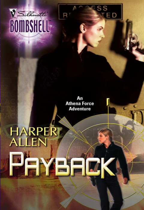 Cover image for book Payback