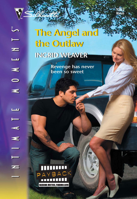 Cover image for book The Angel and the Outlaw