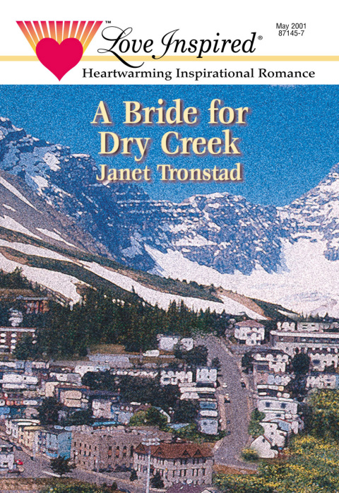 Cover image for book A Bride for Dry Creek