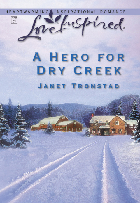 Cover image for book A Hero for Dry Creek