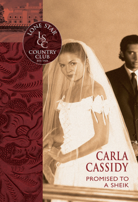 Cover image for book Promised to a Sheik