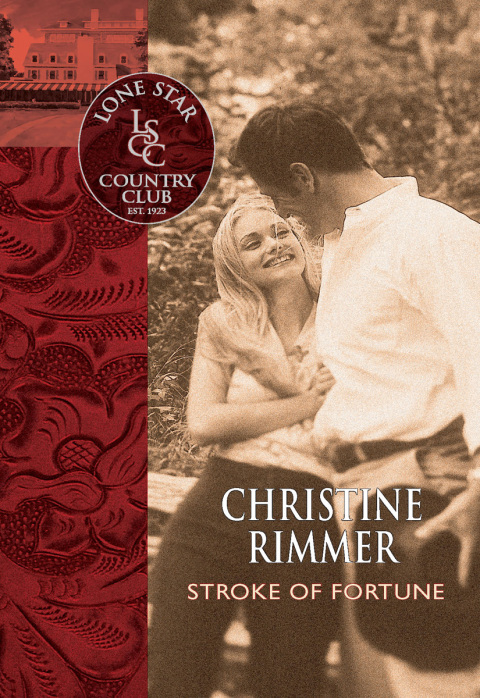Cover image for book Stroke of Fortune