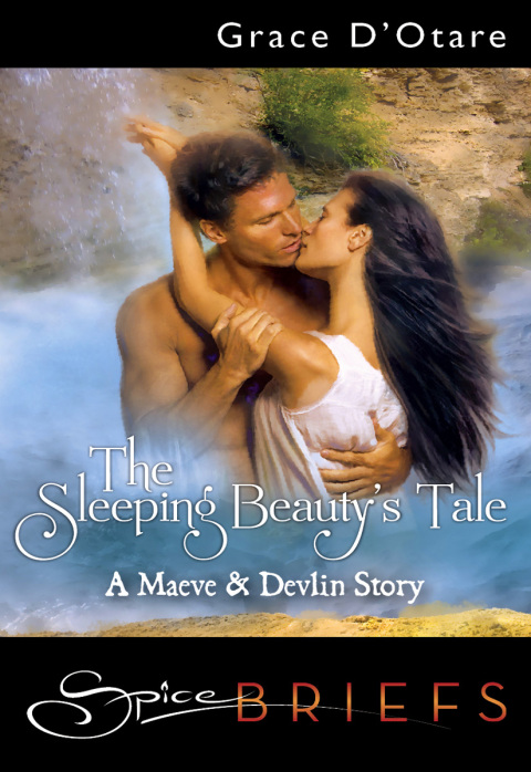 Cover image for book The Sleeping Beauty's Tale