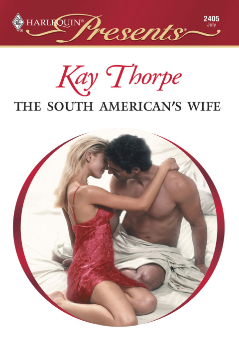 Cover image for book The South American's Wife